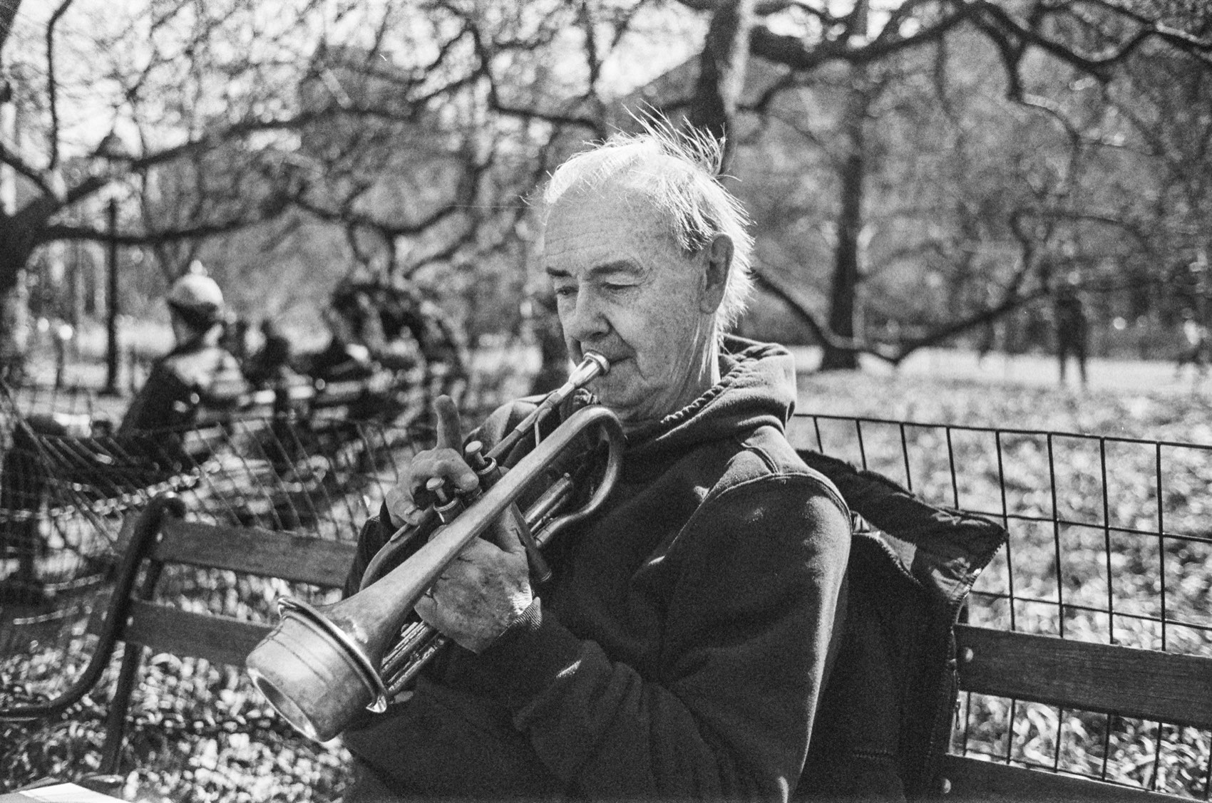 The same man playing the trumpet, bare trees behind him.