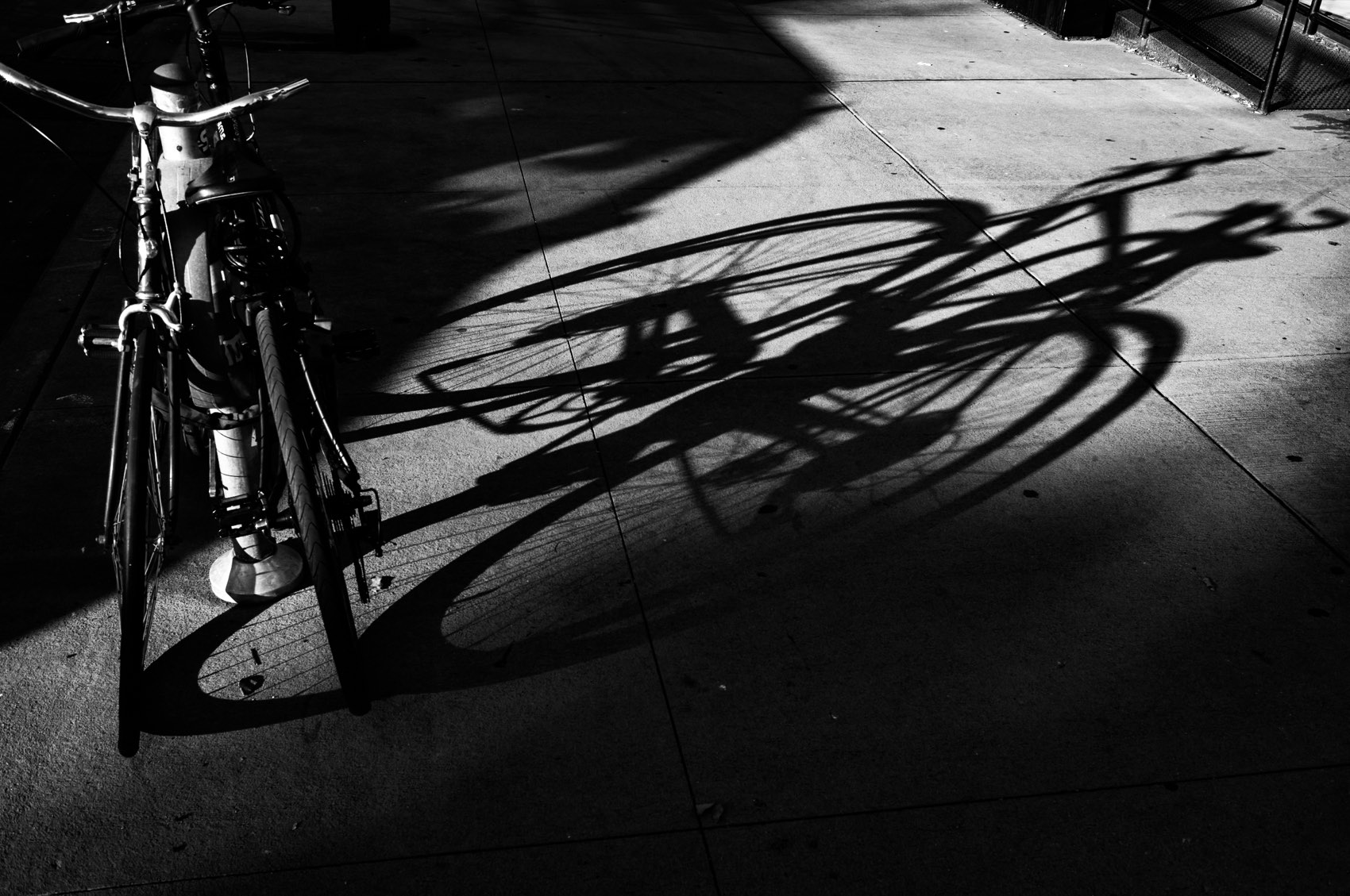 The Bicycle's Shadow. New York.