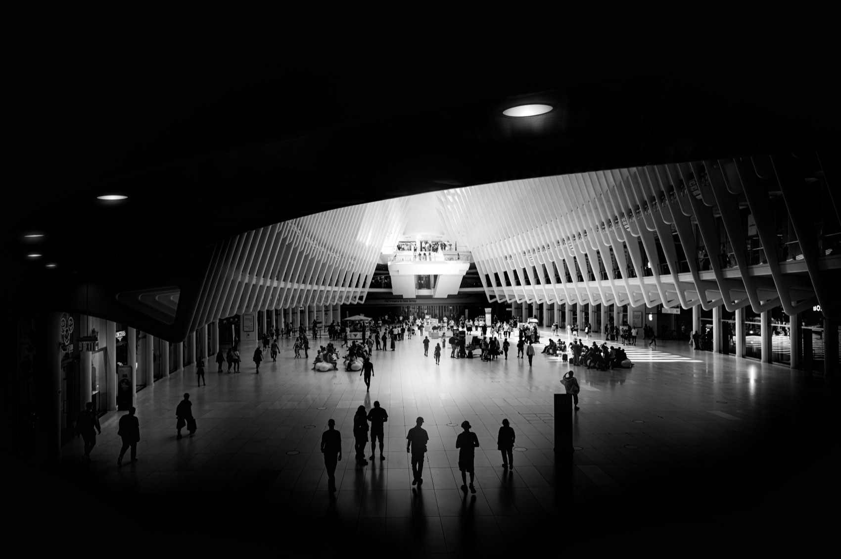 The Ribbed Hall. New York.