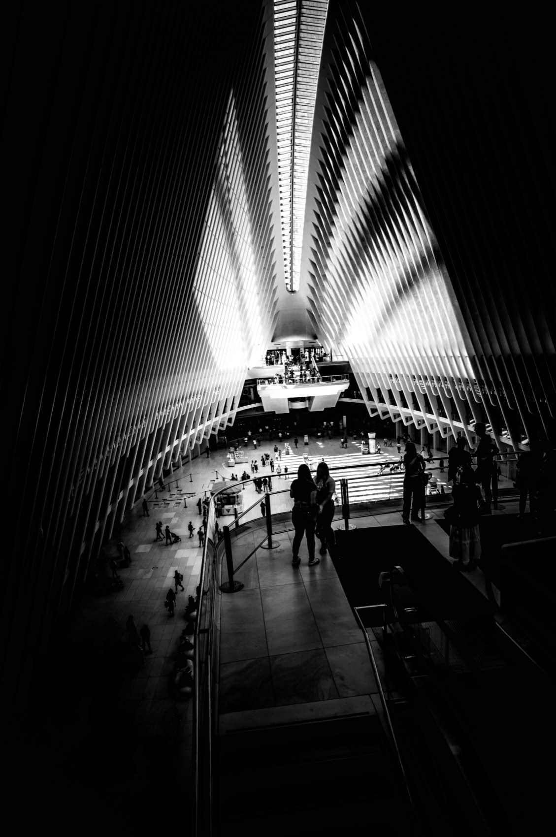 Wings. New York.