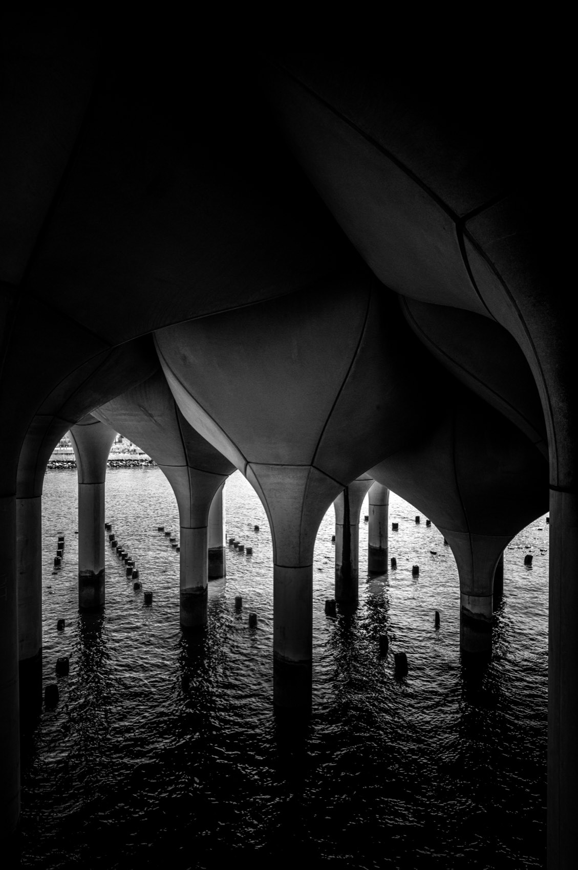 Vaults Over Water. New York.