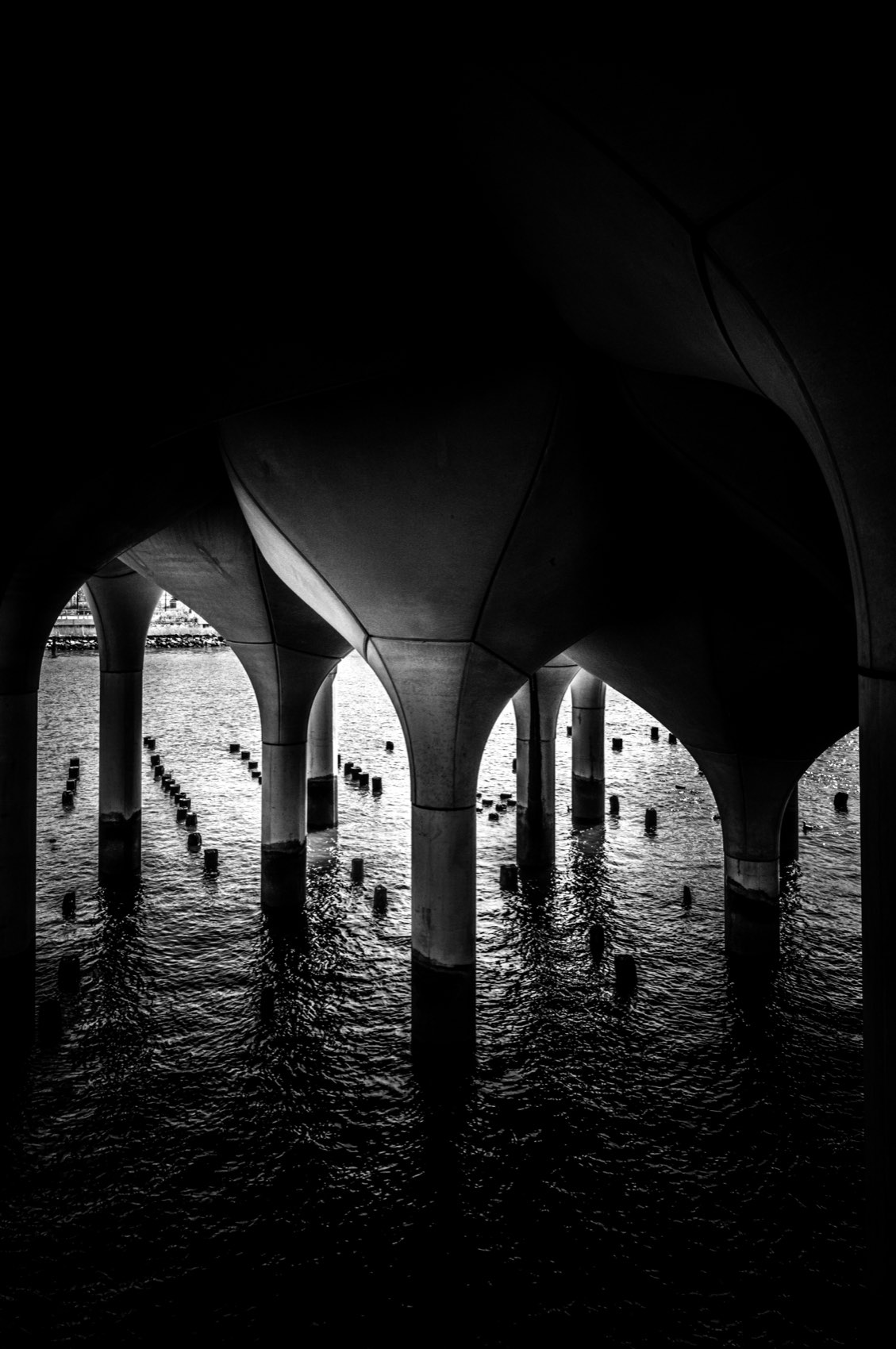 The Water Under the Vaults. New York.