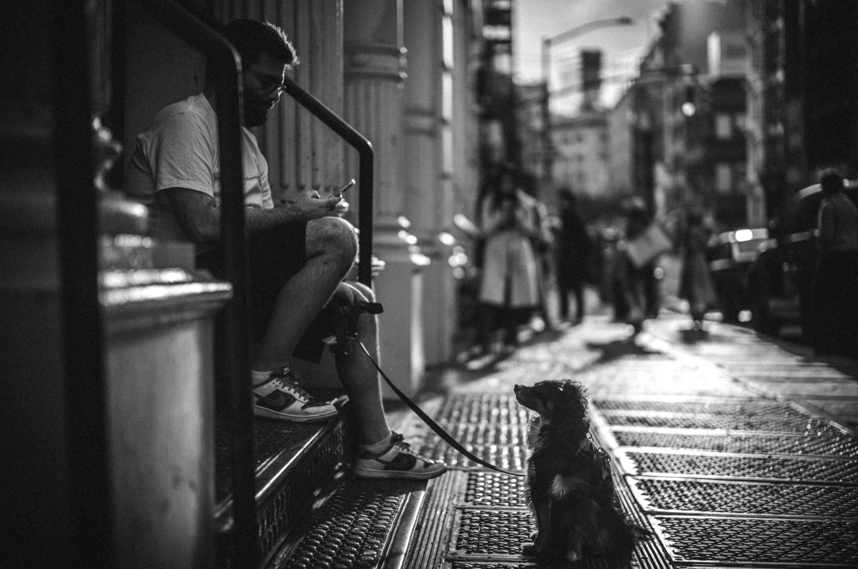 Stoop and Leash. New York.