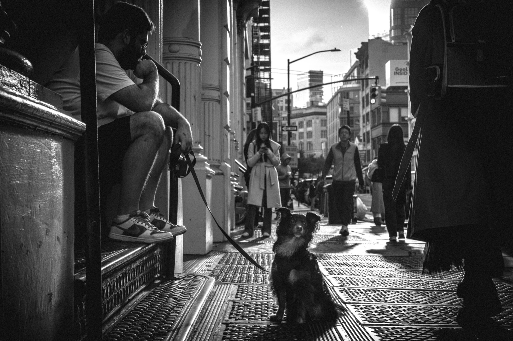 Waiting on the Dog. New York.
