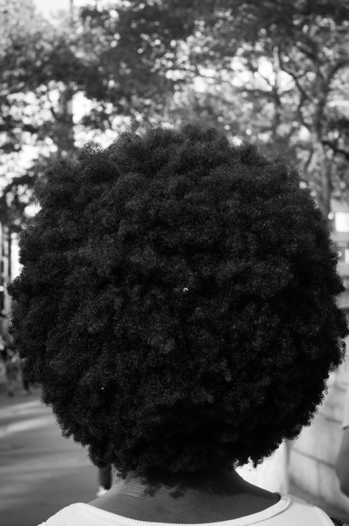 The Halo. New York.