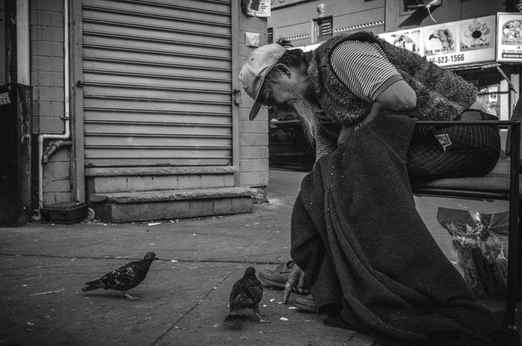 Feeding the Pigeons. New York, Chinatown.