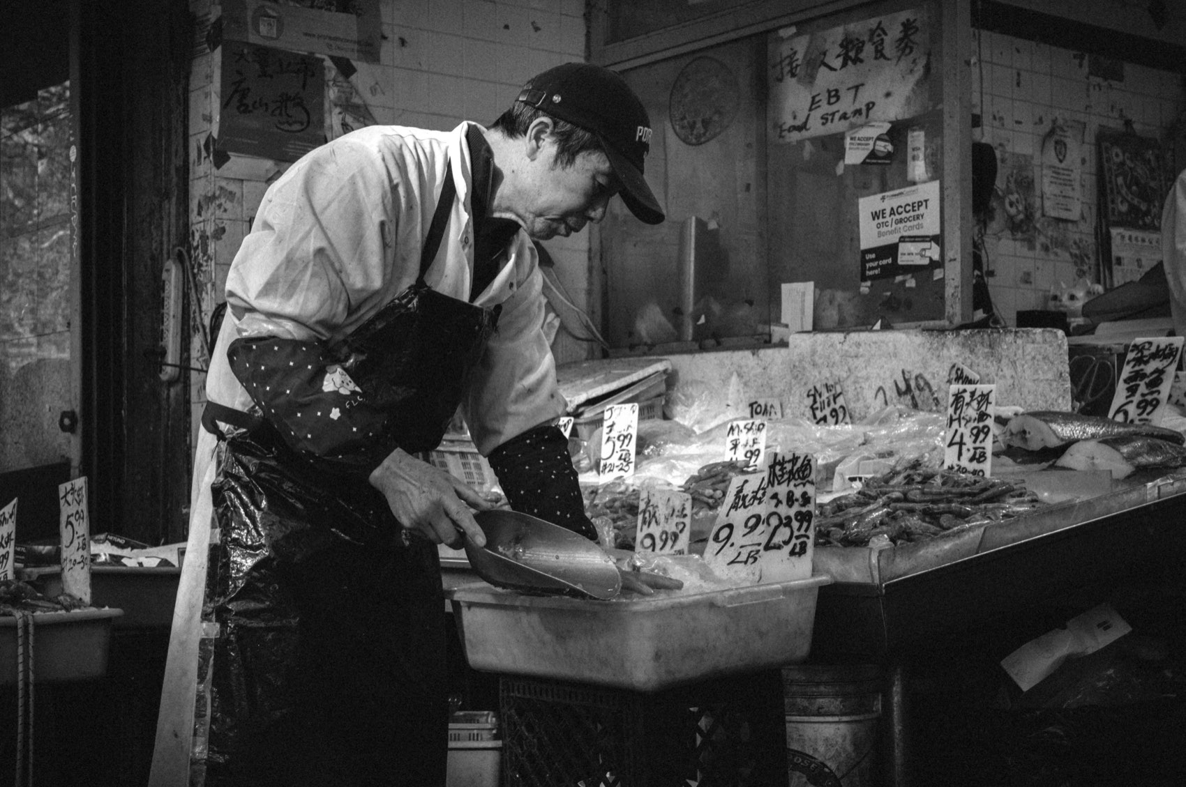 The Fish Counter. New York, Chinatown.