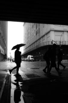 Rain Under the Bridge. New York.