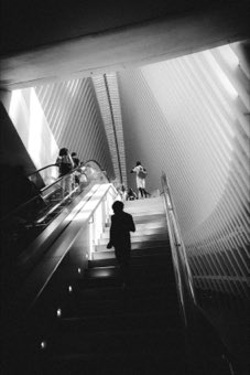 Escalator into White. New York.