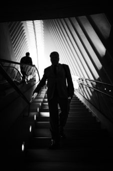 The Descent. New York.