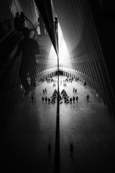 The Spine of Light. New York.