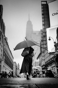 Umbrella and the Empire. New York.