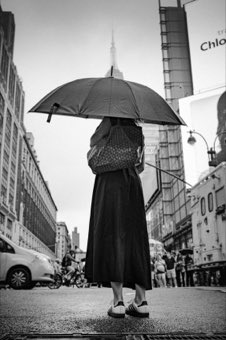 The Black Umbrella. New York.