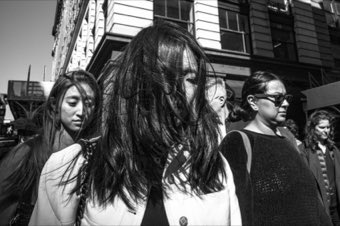 Hair in the Wind. New York.