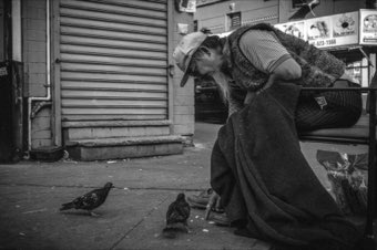 Feeding the Pigeons. New York, Chinatown.